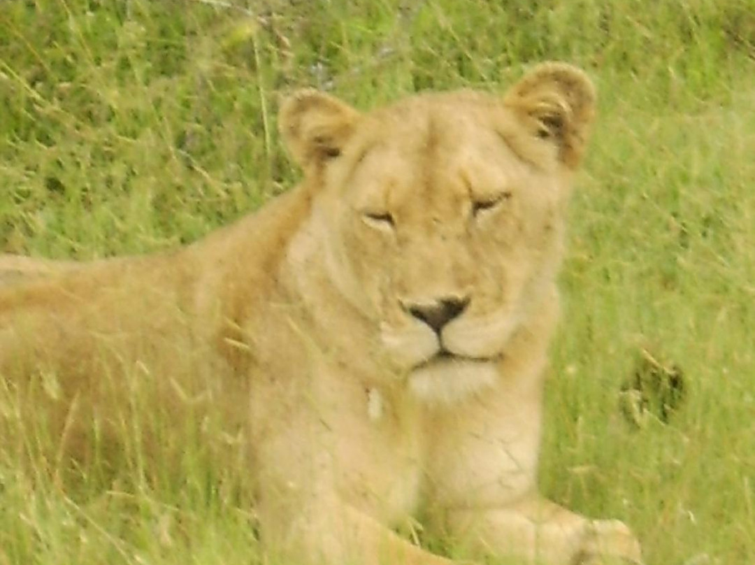 null-Klaserie Private Game Reserve