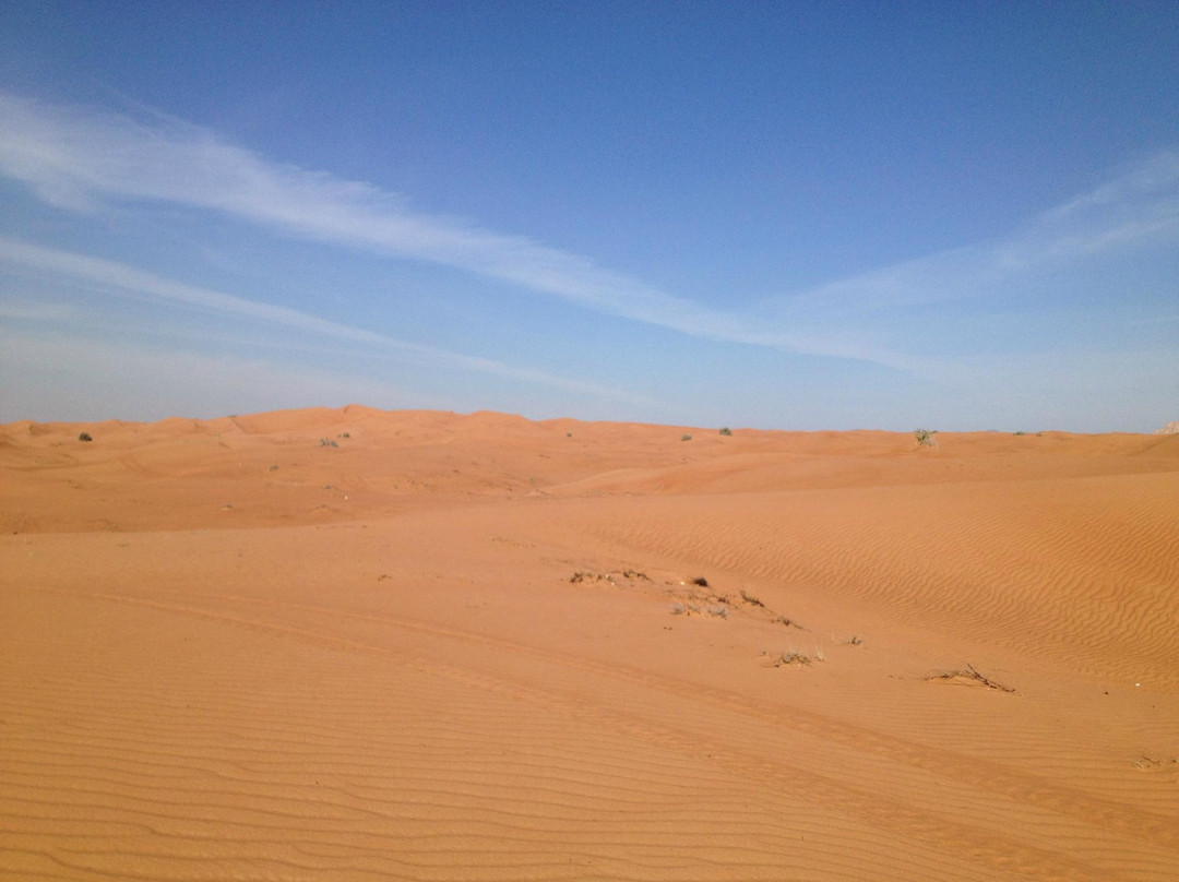 Buggy Adventures景点图片
