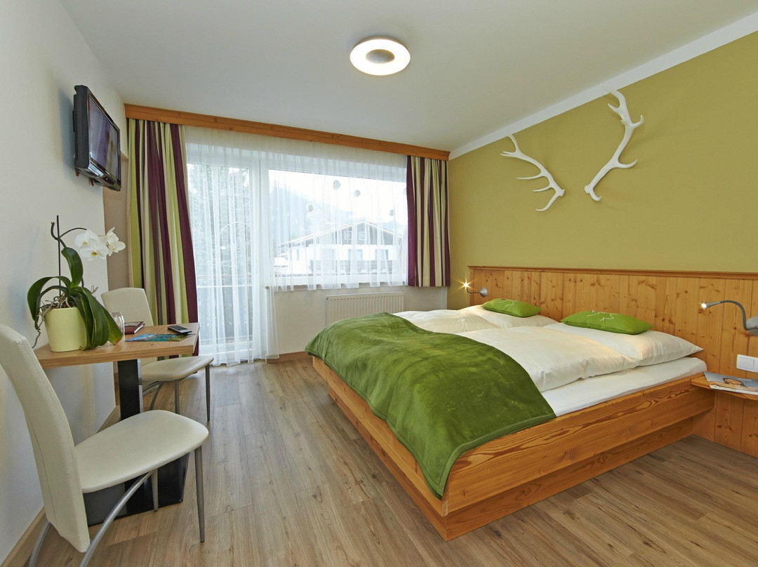 Zell am See-Sud酒店住宿-Hotel Garni Landhaus Gitti
