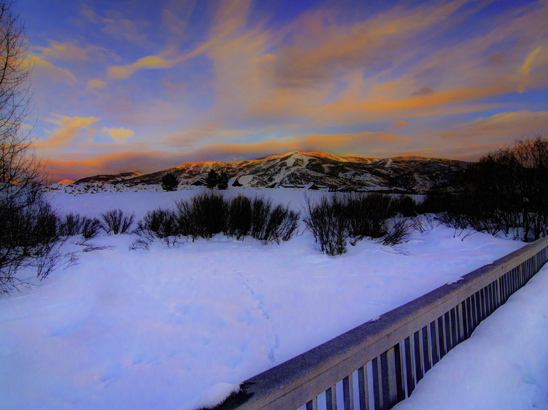 Rotary Park Boardwalk-斯廷博特斯普林斯必去景点