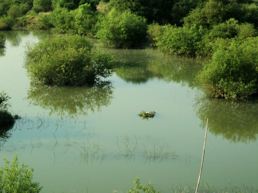 Upo Wetland-昌宁郡必去景点