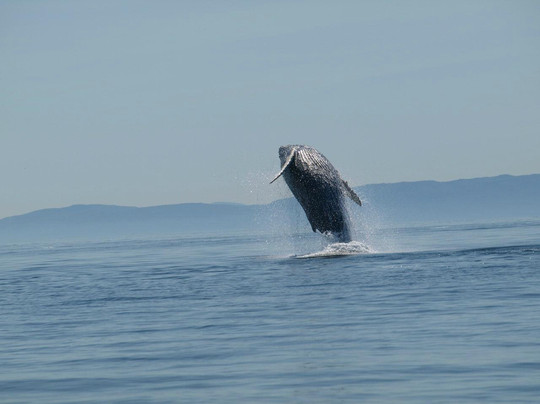 Du Fleuve-Les Escoumins必去景点