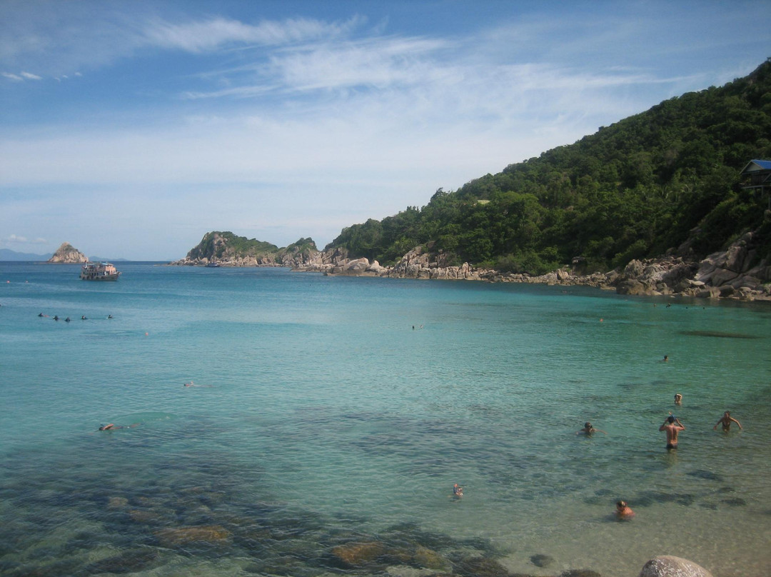 Pura Vida Diving-涛岛必去景点