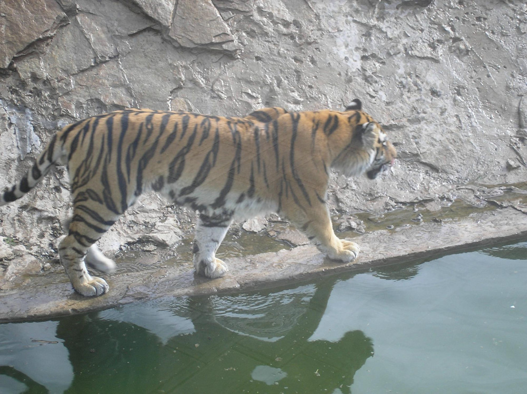 Gosudarstvennyy Zoologicheskiy Park Udmurtii-伊热夫斯克必去景点