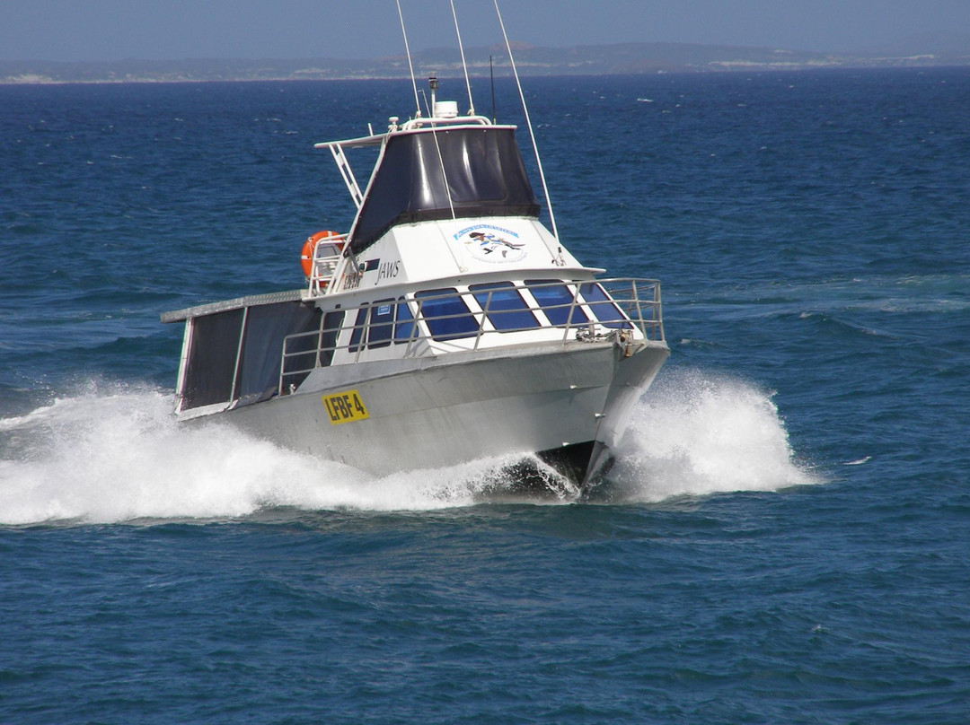 Black Jack Charters-埃斯佩兰斯必去景点