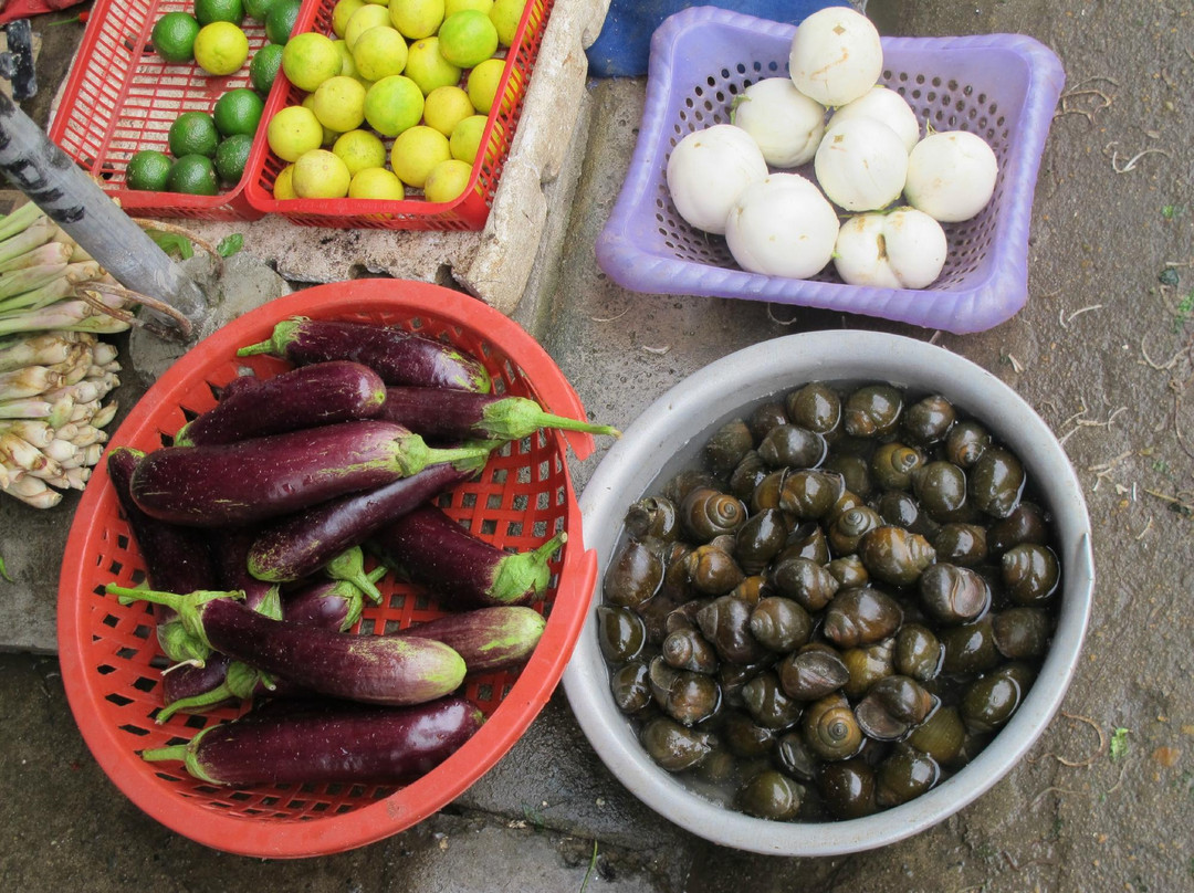 绿竹烹饪学校&咖啡馆-会安必去景点