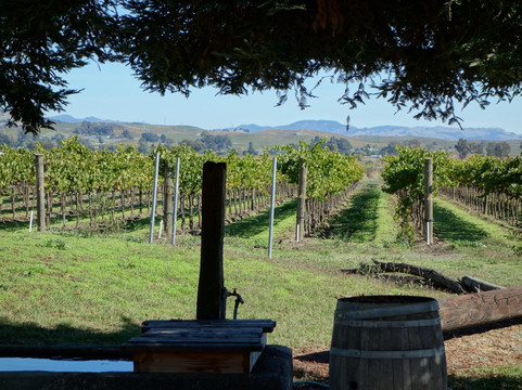 Edge of the World Tours-旧金山必去景点