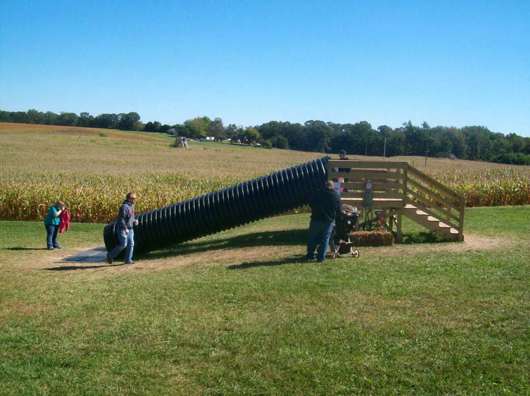 Clements旅游攻略图片