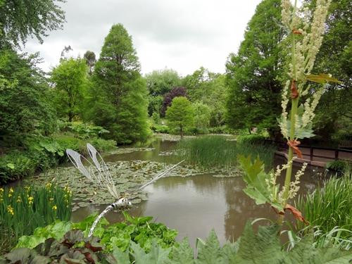 Sir Harold Hillier Gardens景点图片
