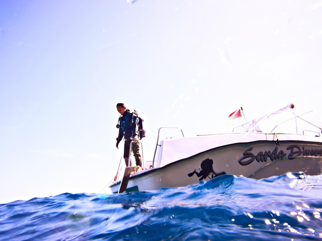 Sarda Divers - Dive Center-Fertilia必去景点