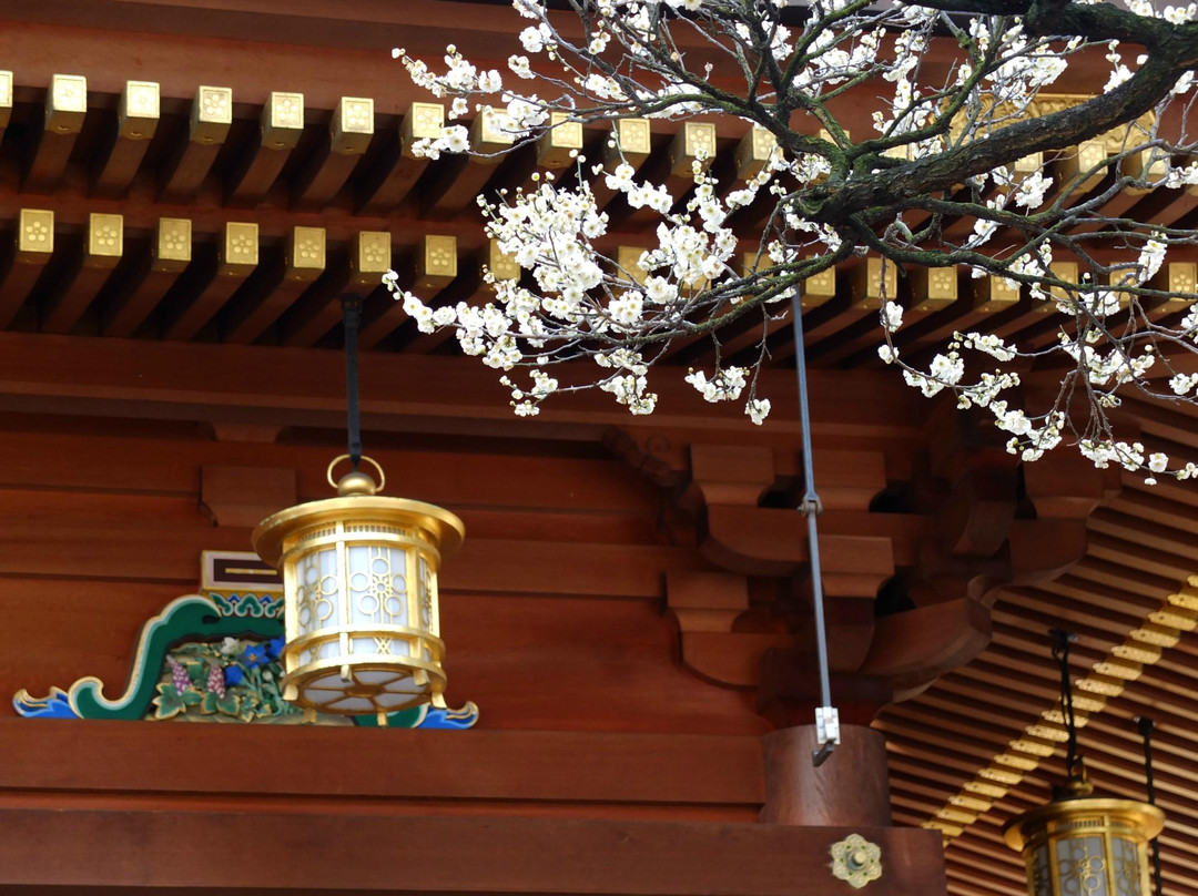 Yushima Tenjin Ume Blossom Matsuri景点图片