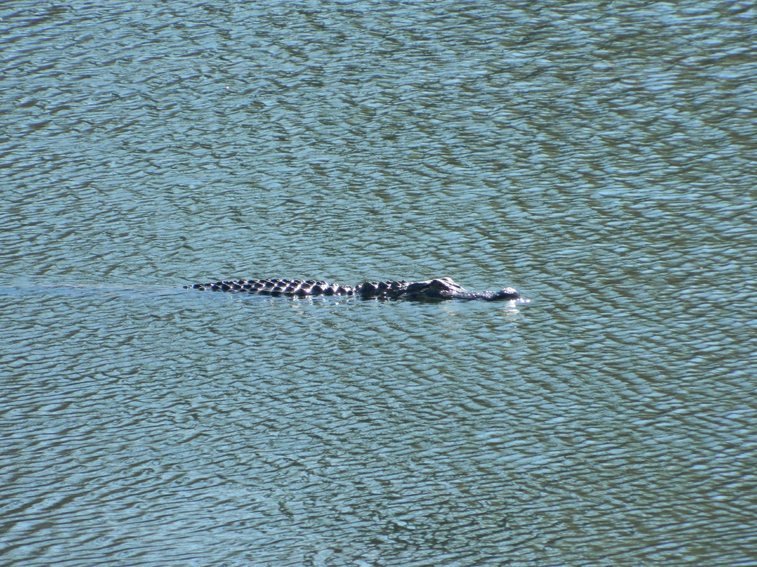 Brick Pond Park-North Augusta必去景点