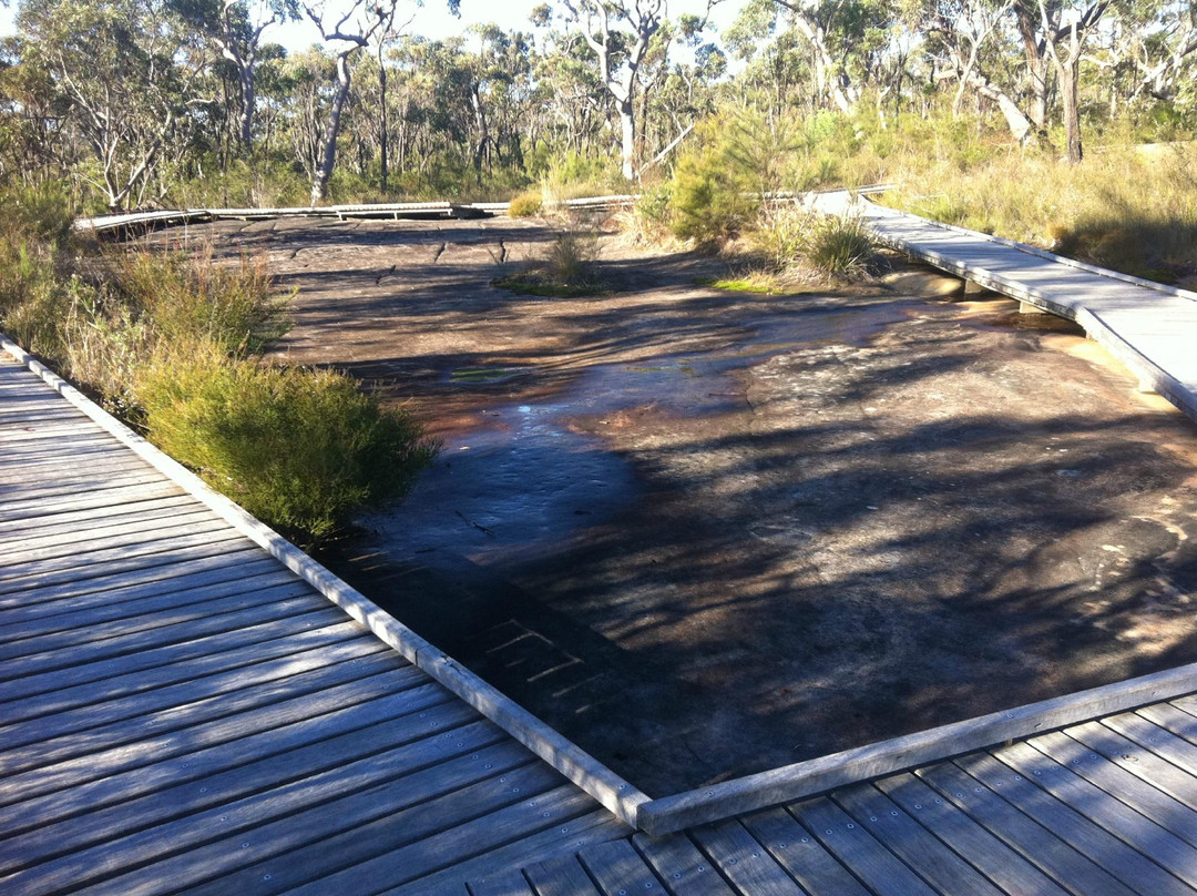 Mount White旅游景点-Bulgandry Aboriginal Engraving Site