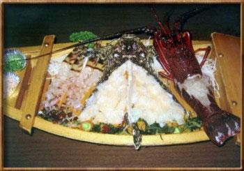 Hyugaya-官方