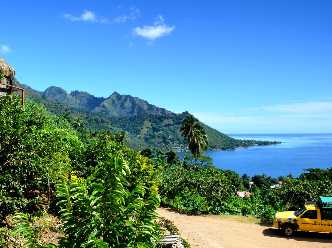 Moorea Tropical Garden-莫雷阿岛必去景点