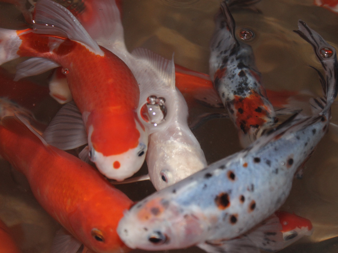 盛博国际大酒店主图