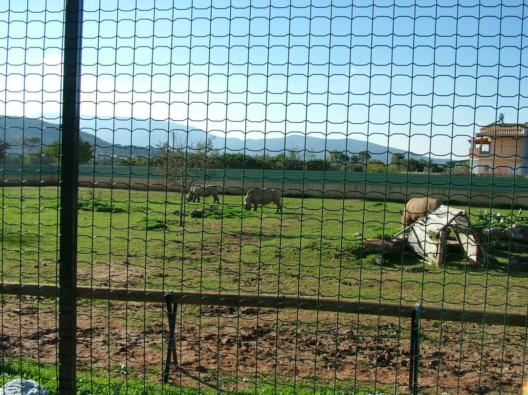 Attica Zoological Park-斯巴达必去景点