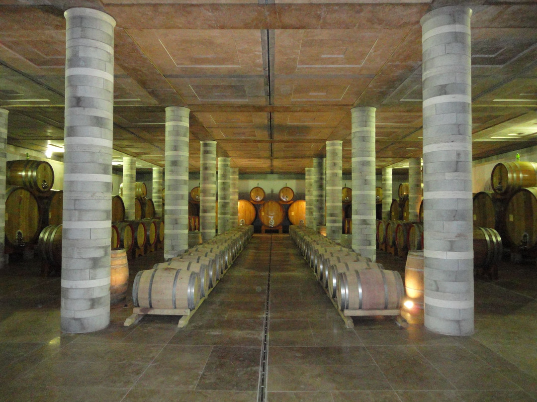 Cortona Wine Tours景点图片