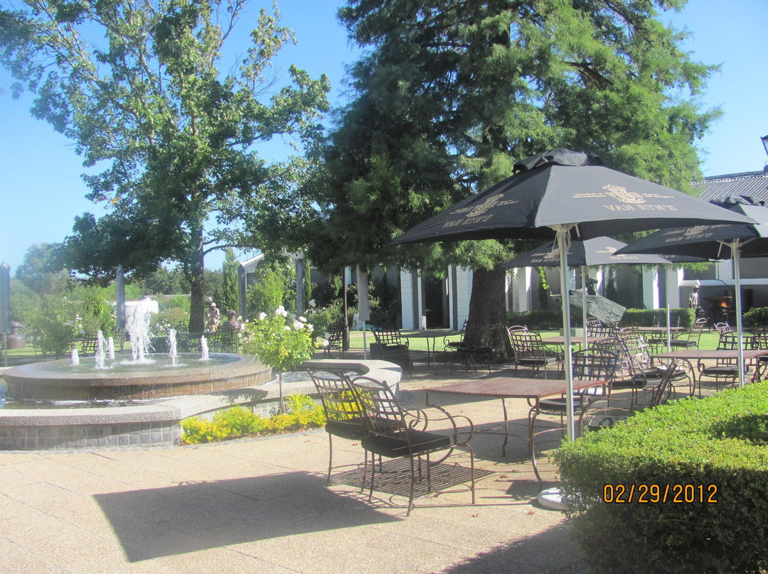 Van Ryn's Distillery and Brandy Cellar-斯泰伦博斯必去景点