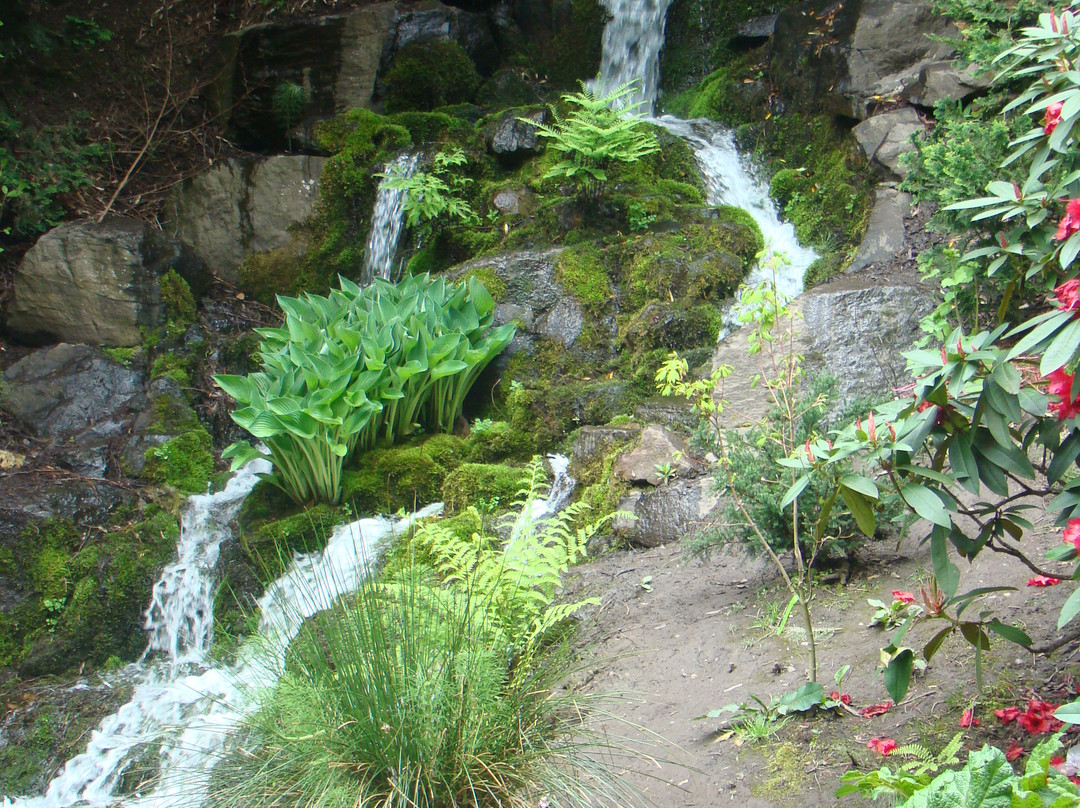 Crystal Springs Rhododendron Garden-波特兰必去景点