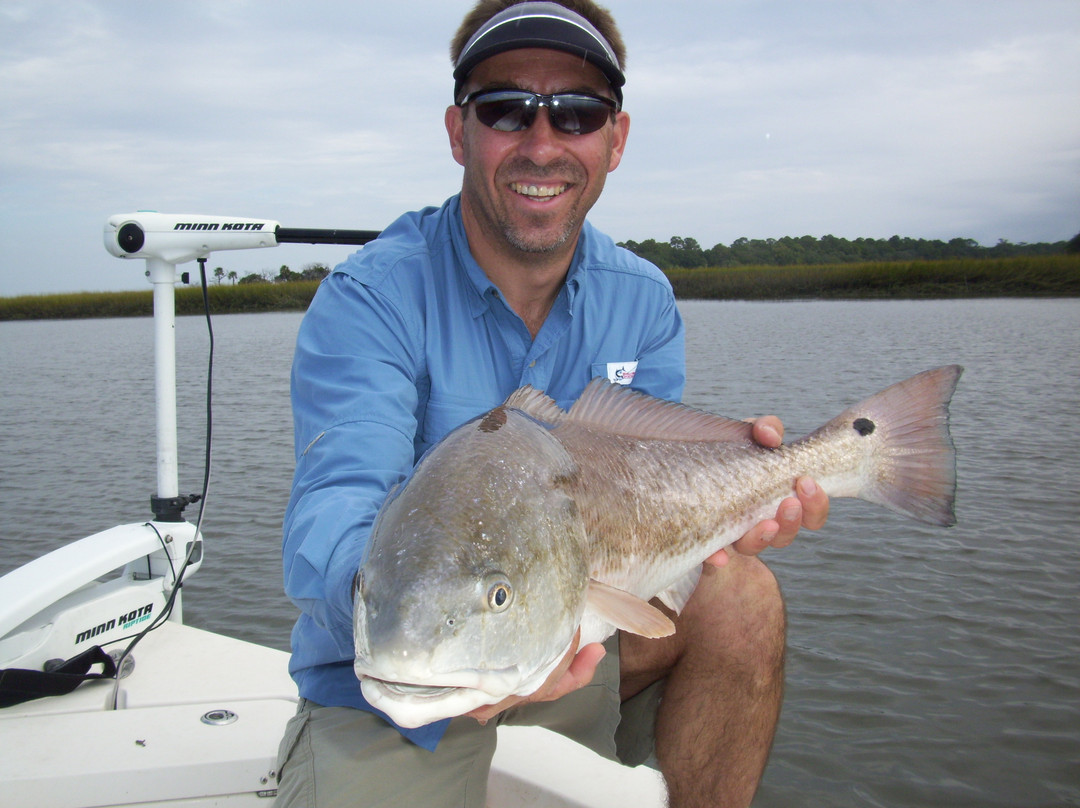 Coffee Bluff Marina-萨凡纳必去景点