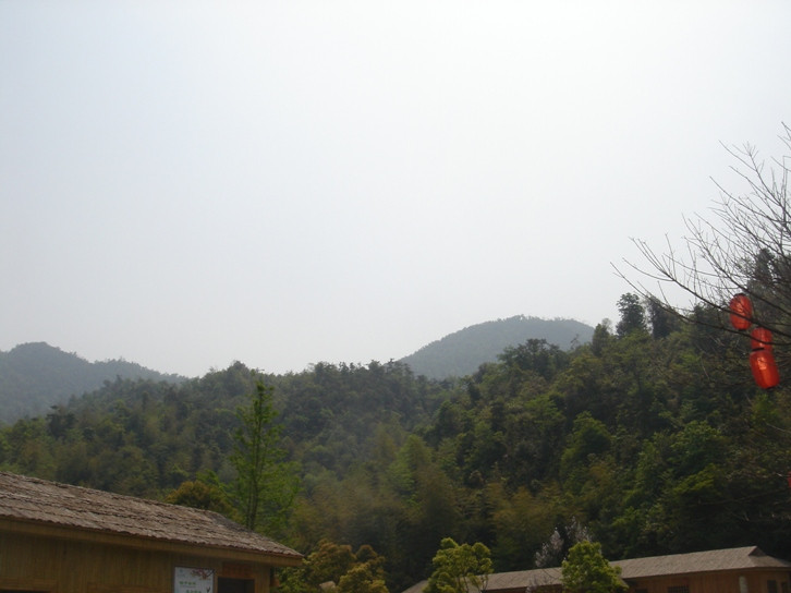 丫山森林公园-大余县必去景点