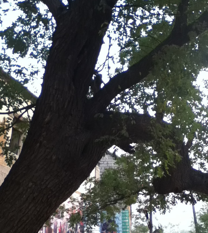 朱家峪村-章丘市必去景点