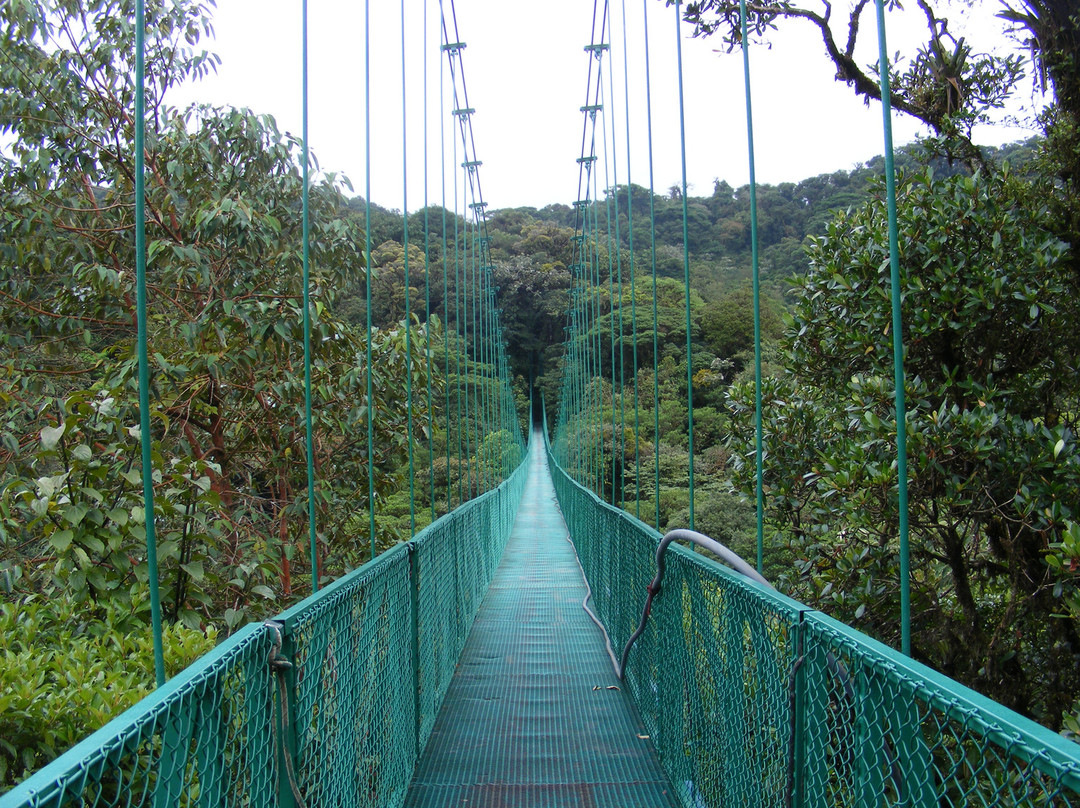 El Trapiche Tour-蒙特沃德必去景点