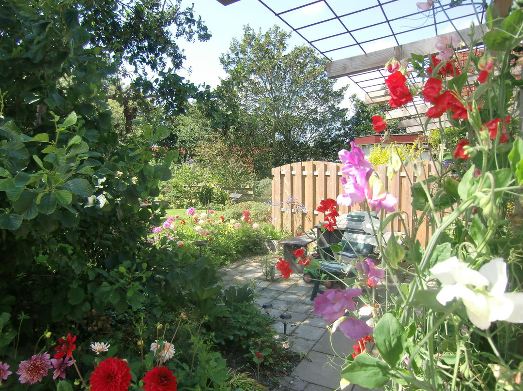Bed en Breakfast Tulpen & Zo