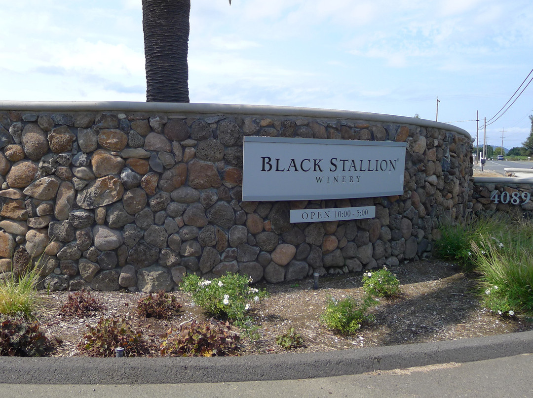 Black Stallion Winery-纳帕必去景点