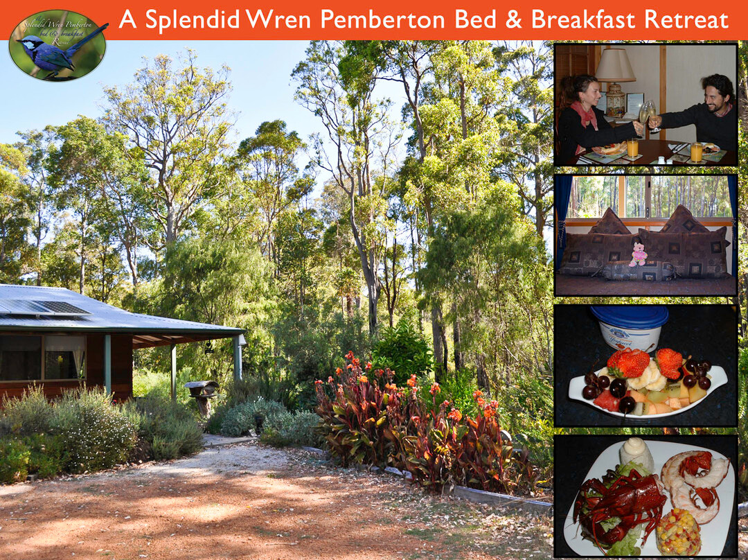 彭伯顿酒店住宿-A Splendid Wren Pemberton Retreat