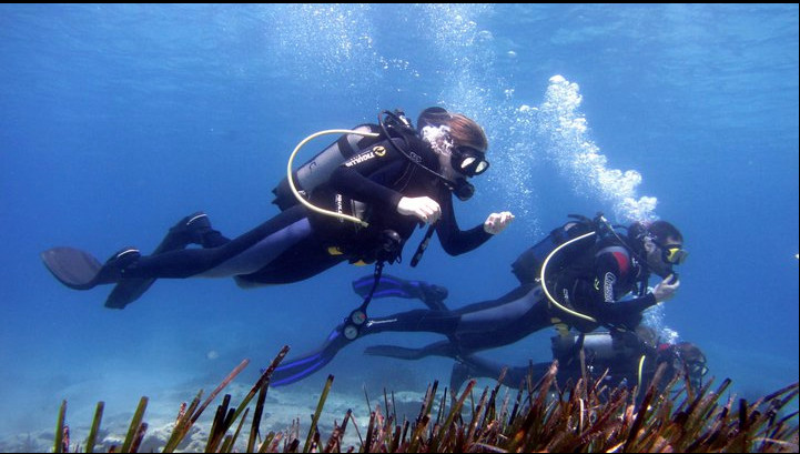 Blue Fin Divers Naxos Greece景点图片