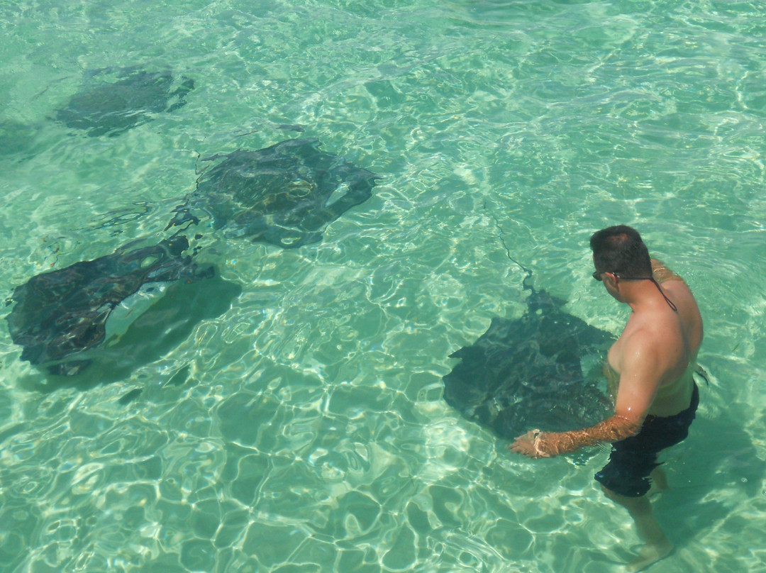 Stingray City景点图片