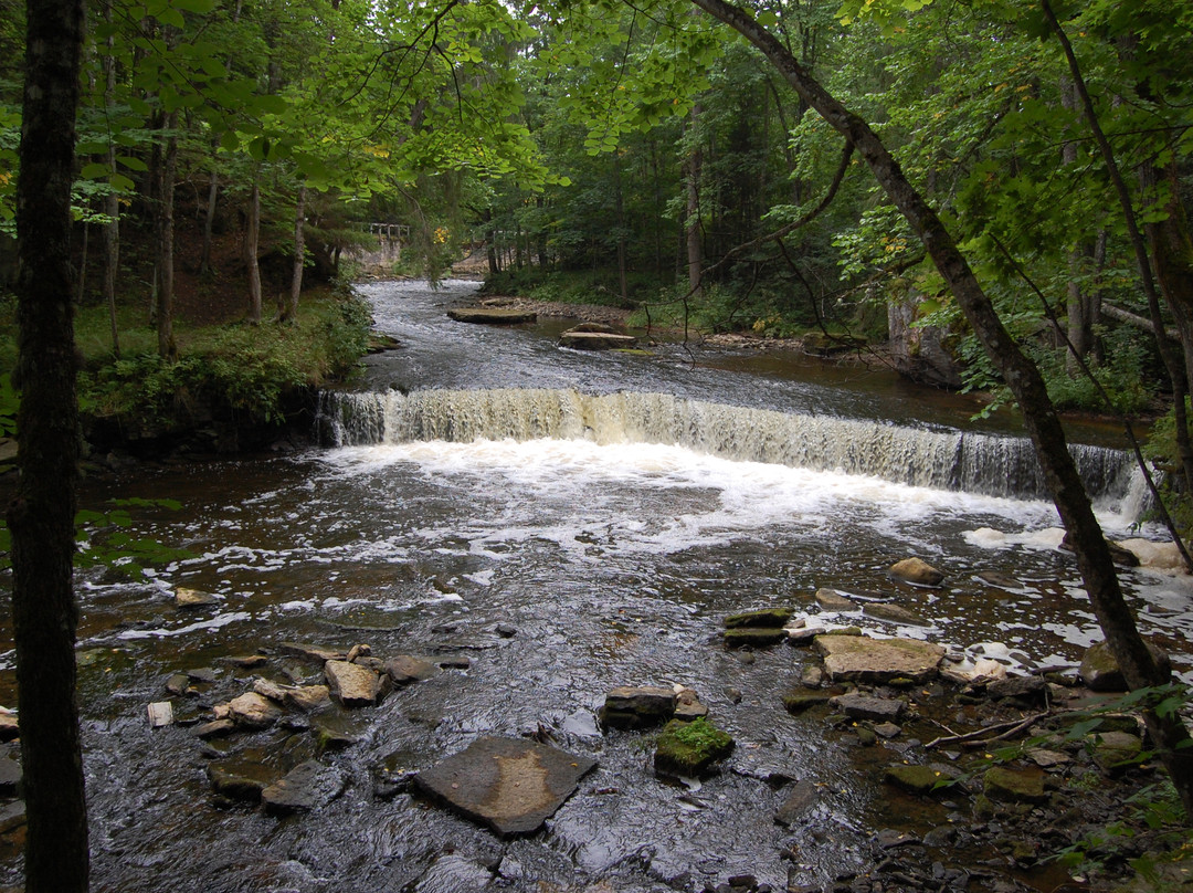 Traveller Tours-塔林必去景点