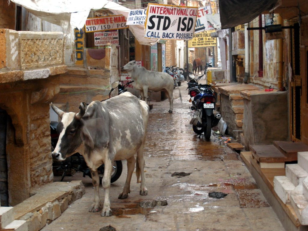 Gandhi Chowk Street-杰伊瑟尔梅尔必去景点