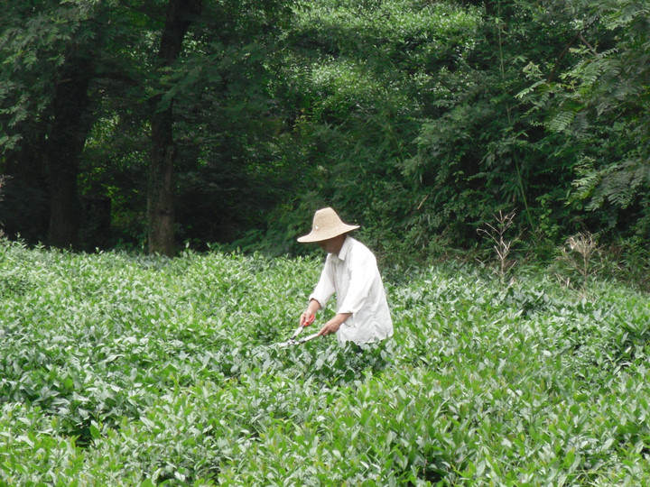 九溪十八涧-杭州市必去景点