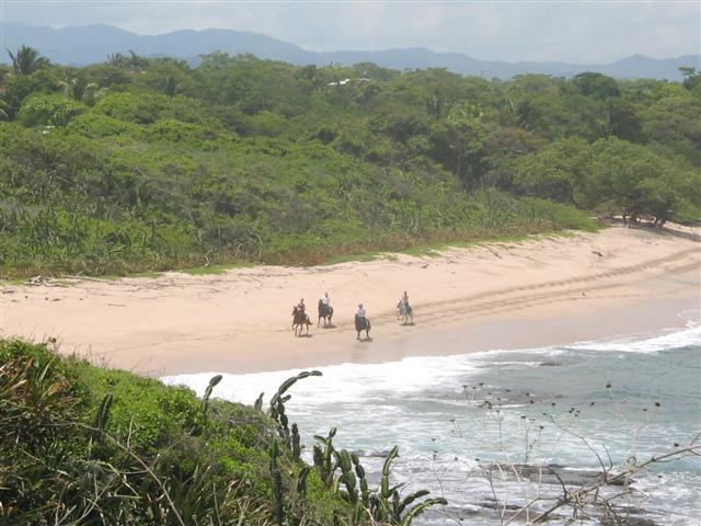 Paradise Riding - Horseback Tours景点图片