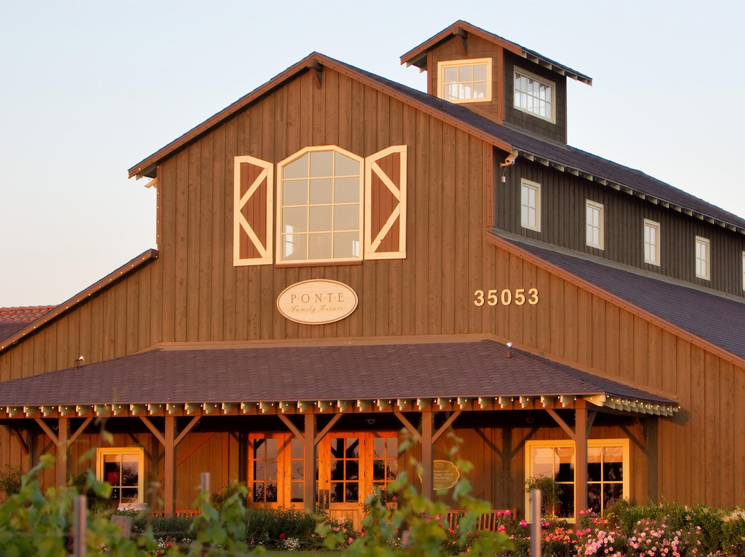 Ponte Winery-特曼库拉必去景点