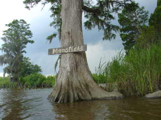 Mansfield Plantation主图