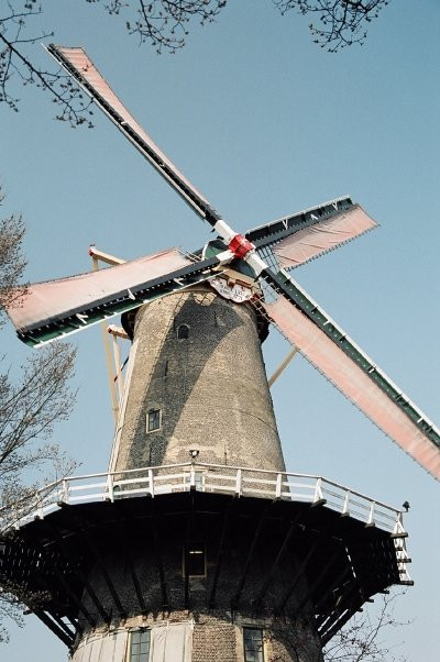 Red Lion Windmill (Molen De Roode Leeuw)-高德必去景点