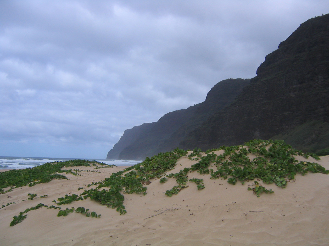 Polihale State Park-威美亚必去景点