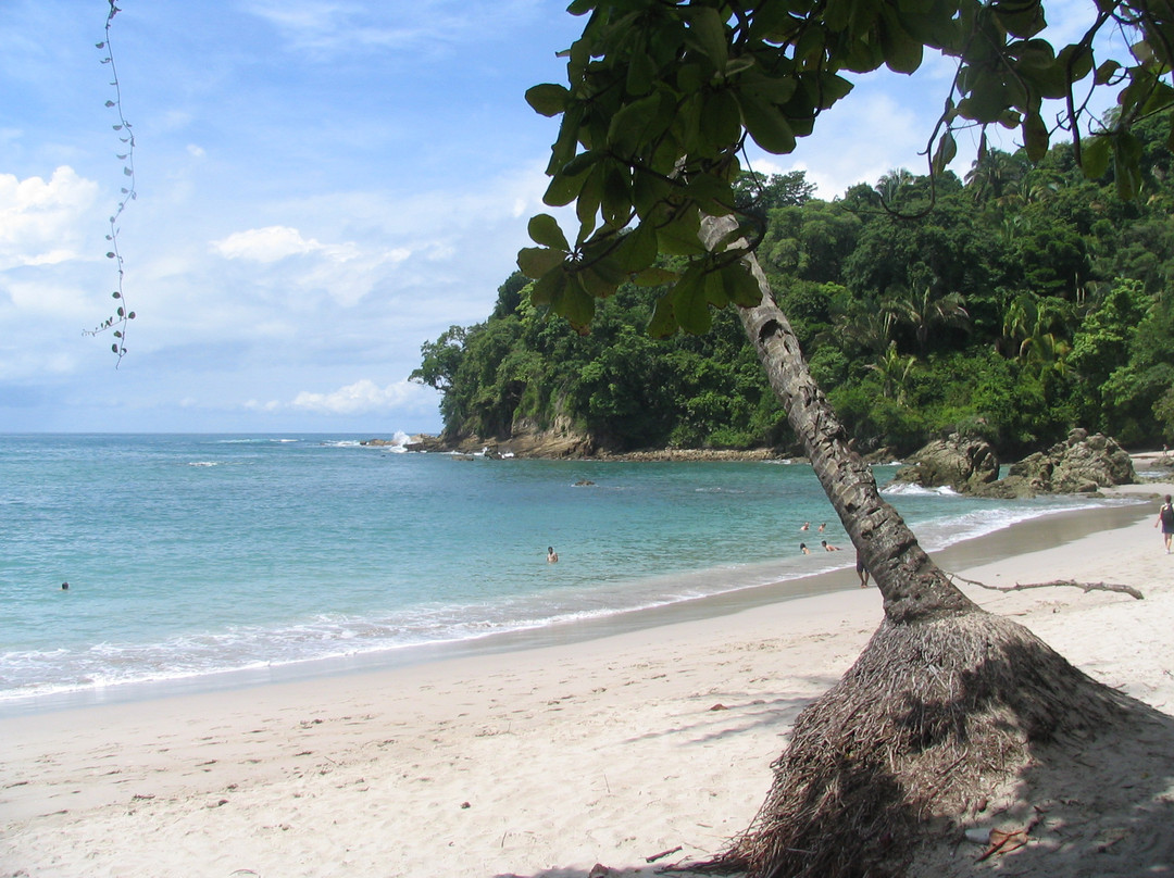 Playa Manuel Antonio景点图片