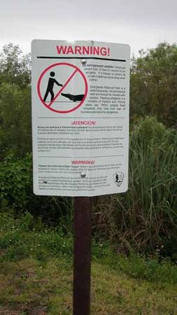 大沼泽地步道-大沼泽国家公园必去景点