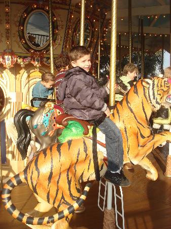 Nut Tree Family Park-瓦卡维尔必去景点