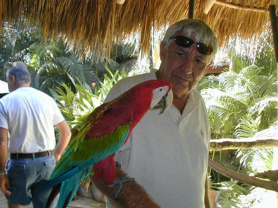 Vallarta Adventures-新瓦雅塔必去景点