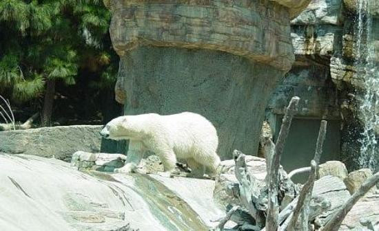 圣地亚哥动物园-圣地亚哥必去景点