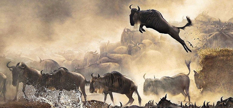 Focus East Africa Tours Ltd-坎帕拉必去景点