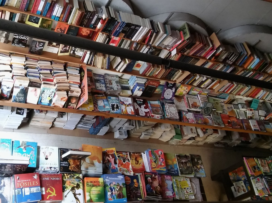Mandrake Libros景点图片