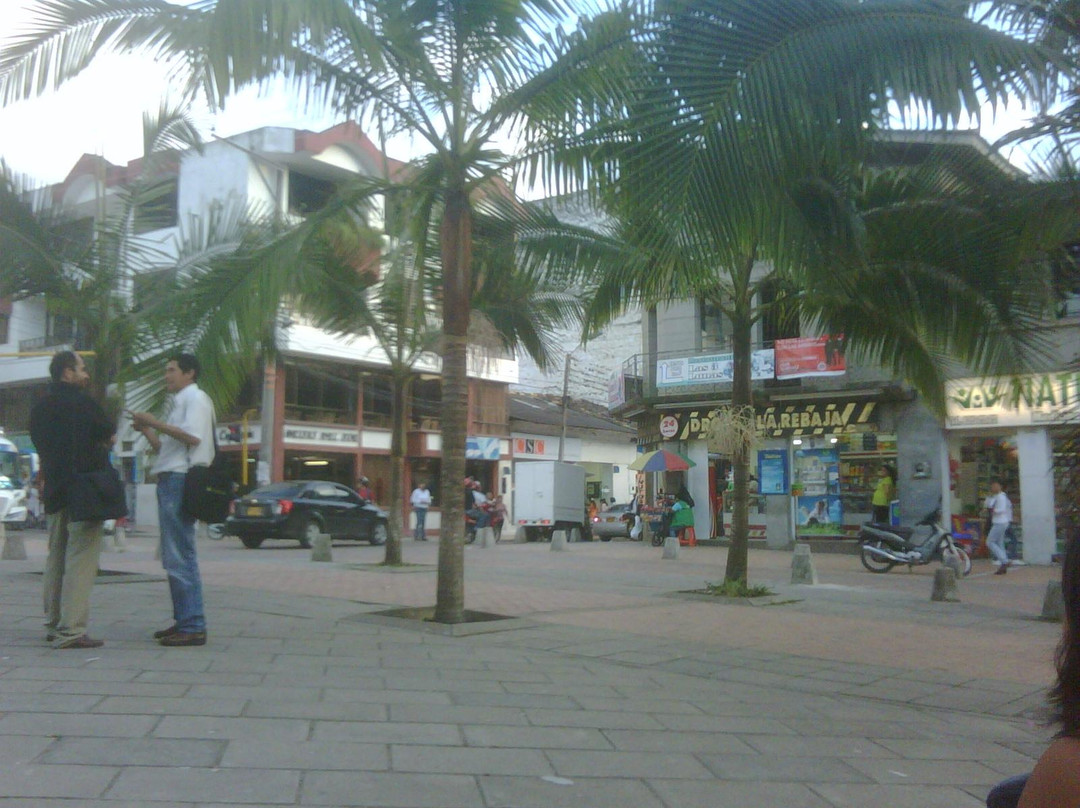 Pitalito酒店住宿-Hotel Calamo Plaza S.A.S