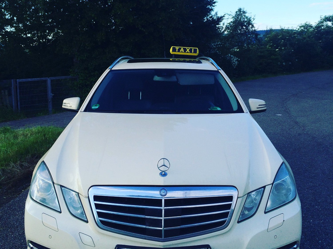 ABC City Taxi Goppingen-格平根必去景点